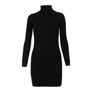 TURTLENECK SWEATER DRESS