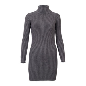 TURTLENECK SWEATER DRESS