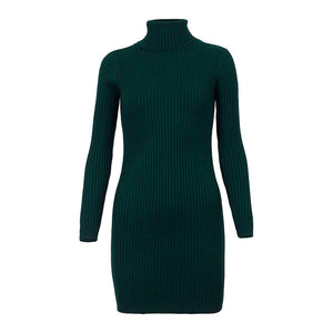 TURTLENECK SWEATER DRESS