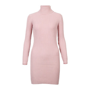 TURTLENECK SWEATER DRESS